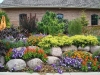 dsc01245.jpg
