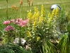dscn0294