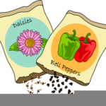 Clipart of 2 packages of seeds
