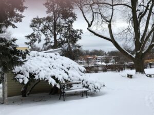 Snowy scene with a snow covered bench.
