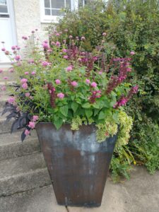 Large container with purple flowers next to a set of concrete steps.