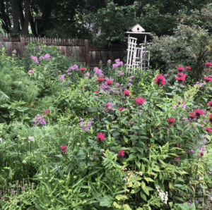 A view of a lovely garden with many blooming flowers.