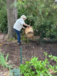 A woman working in the garden