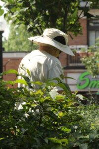 Modern photo of a gardener wearing a floppy gardening hat.